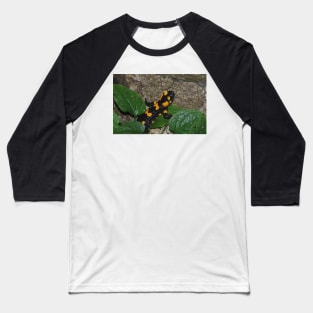 Fire Salamander on Rock Baseball T-Shirt